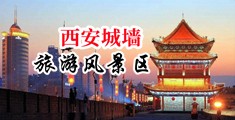 大鸡巴插小穴流水高潮死库水视频中国陕西-西安城墙旅游风景区
